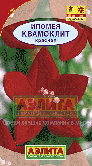 Ипомея Квамоклит Красная, 0.5 г